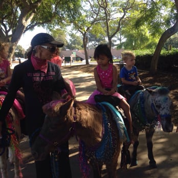 PLNU Fall Festival - Pony Rides - Festivals Near Me - San Diego, California PLNU Fall Festival - Pony Rides - Festivals Near Me - San Diego, California