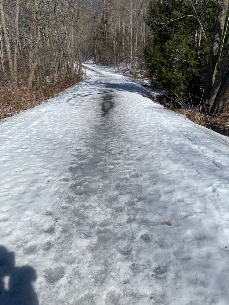 PAPERMILL TRAIL with 19 real customer photos Updated August 2024