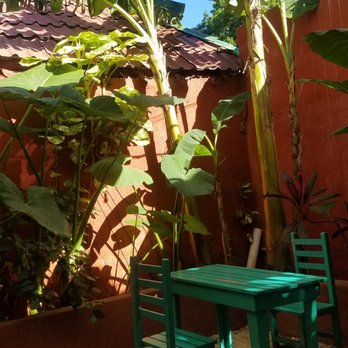 Ki' Bok - Coffee & Tea Near Me - Tulum, ROO Ki' Bok - Coffee & Tea Near Me - Tulum, ROO