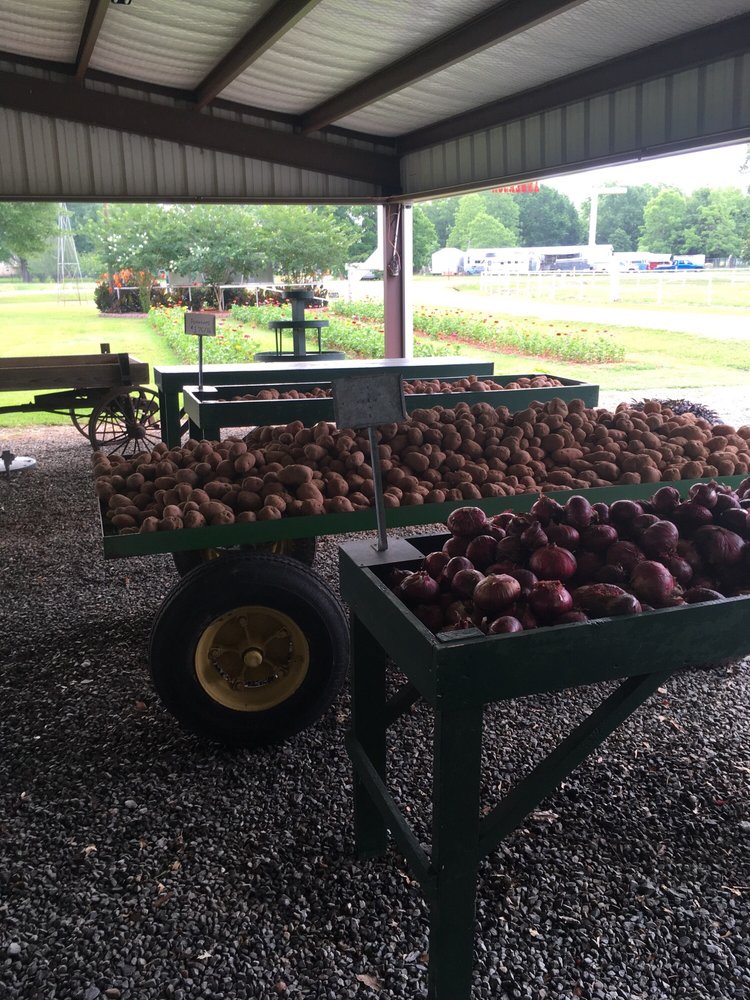 ANDERSON’S PRODUCE & PLANT FARM 110 Anderson Ln, Coushatta, LA Yelp