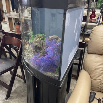 Restoration Thrift - Corner aquarium piece - Thrift Stores Near Me - San Clemente, California