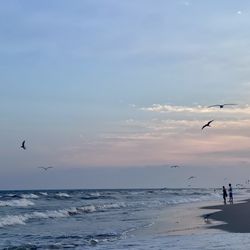 Lido Beach At Town Park