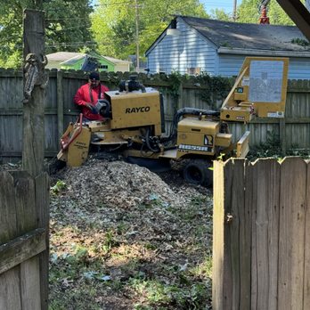 Anytown Tree Service - Tree Services Near Me - Indianapolis, Indiana