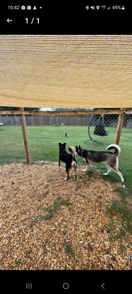 Woof Wagon Inn Image