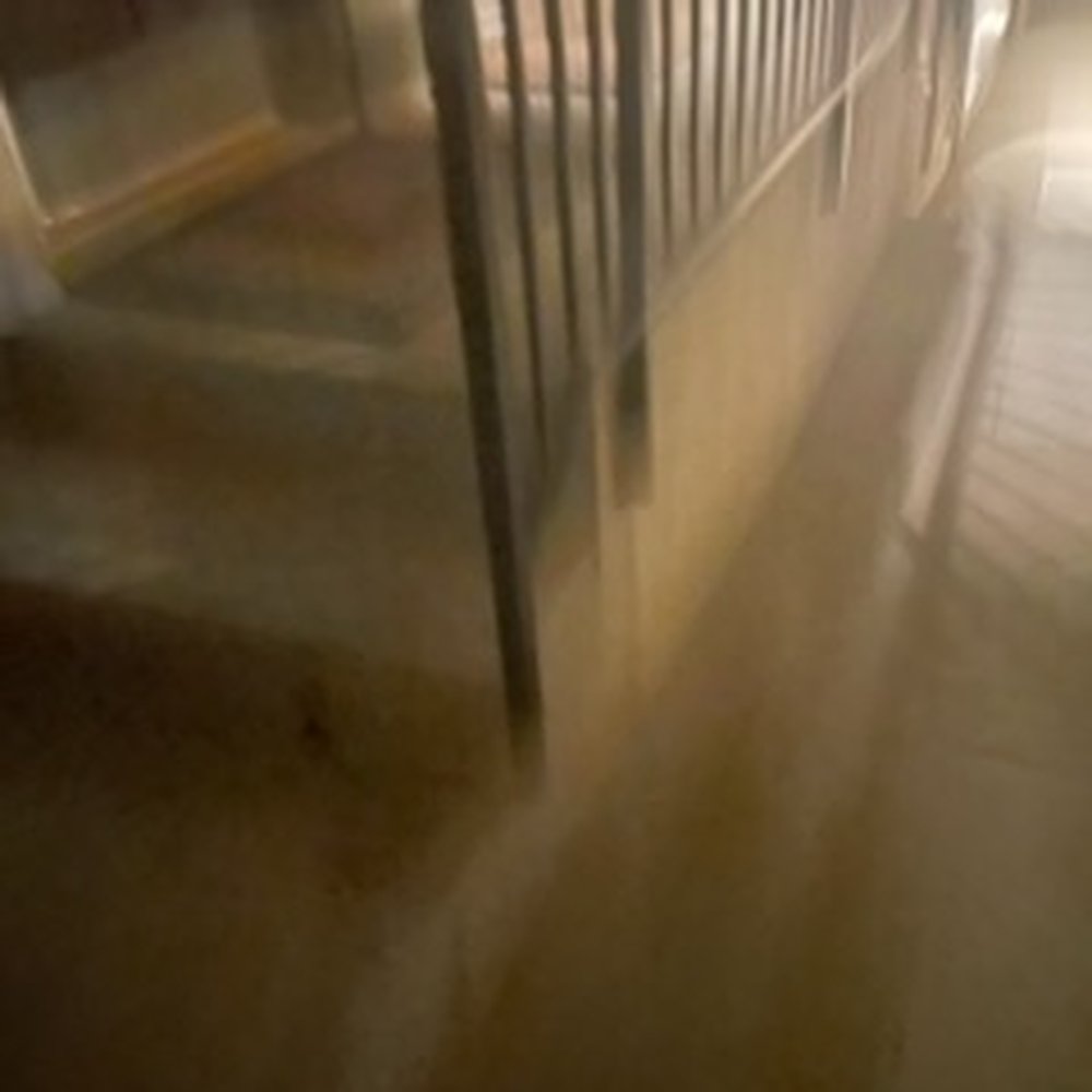 Orange Door - Steps to door - Property Management Near Me Orange Door - Steps to door - Property Management Near Me