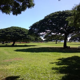 The rain helped a lot. So green in comparison to before The rain helped a lot. So green in comparison to before
