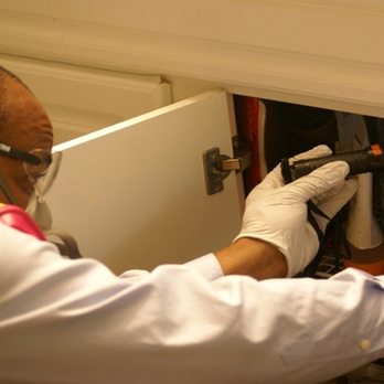 Daystar Termite and Pest Management - Pest Control Near Me Daystar Termite and Pest Management - Pest Control Near Me