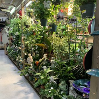 Fresno Ag Hardware - Oooof. Hard to not want of these gorgeous plants - Nurseries & Gardening Near Me - Fresno, California Fresno Ag Hardware - Oooof. Hard to not want of these gorgeous plants - Nurseries & Gardening Near Me - Fresno, California