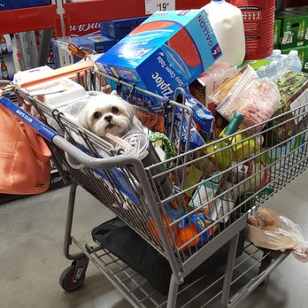 Sam's Club - Can you fine Carmela? - Wholesale Stores Near Me - Gilbert, Arizona Sam's Club - Can you fine Carmela? - Wholesale Stores Near Me - Gilbert, Arizona