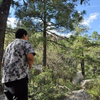 Mt Lemmon - Hiking Near Me
