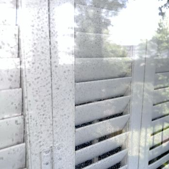 Squee Gee Whiz - Window Washing Near Me - Fredonia, New York Squee Gee Whiz - Window Washing Near Me - Fredonia, New York