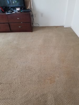 Carpet Cleaning - Call today to get your carpet and upholstery professionally cleaned and sanitized. Carpet Cleaning - Call today to get your carpet and upholstery professionally cleaned and sanitized.