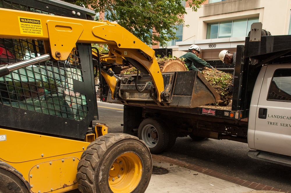 Jewel Landscaping & Tree Service - tree service in Washington, DC, DC