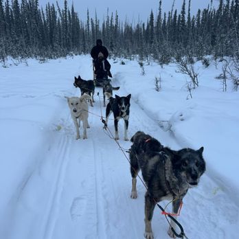 Trail Breaker Kennel - Sledding Near Me - Fairbanks, Alaska Trail Breaker Kennel - Sledding Near Me - Fairbanks, Alaska
