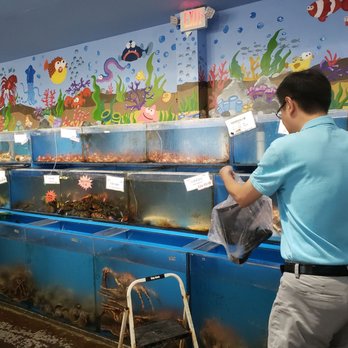 Royal Canton Seafood Palace - Seafood fish tanks - Seafood Near Me - Queens, New York