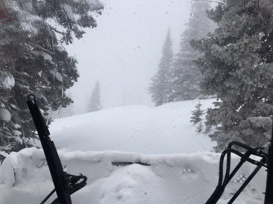 Steamboat Powdercats by null