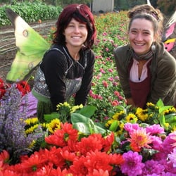 California Organic Flowers - Our Flower Fairies!
