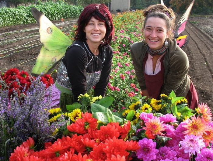 CALIFORNIA ORGANIC FLOWERS Updated October 2024 10 Reviews 2044