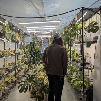 Leafy Soulmates - Inside the shop - Nurseries & Gardening Near Me - Santa Ana, California