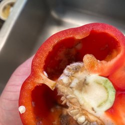 Fred Meyer - A bell pepper we received two days ago full of mold