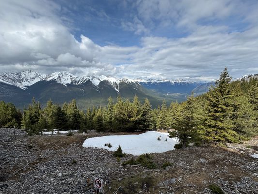 Sulphur Mountain by null