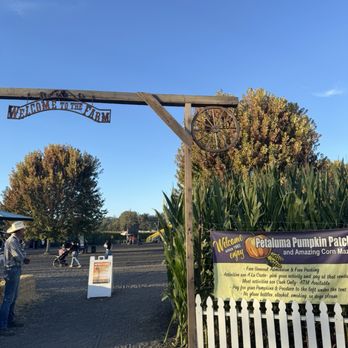 Petaluma Pumpkin Patch And Amazing Corn Maze - Pumpkin Patches Near Me - Petaluma, California Petaluma Pumpkin Patch And Amazing Corn Maze - Pumpkin Patches Near Me - Petaluma, California