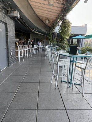 Botanical Lounge by null