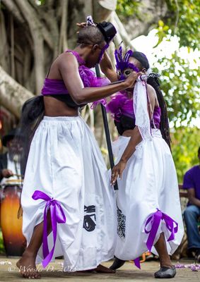 Tap Tap Tours & Transportation LLC by null