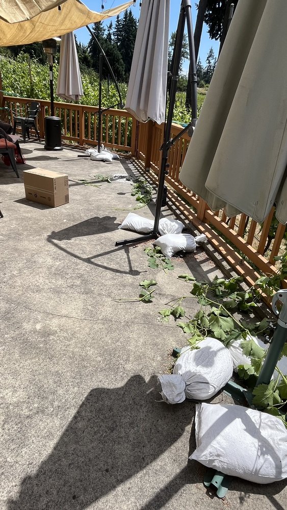 Abbe Vineyard Winery - vineyard in Federal Way, WA