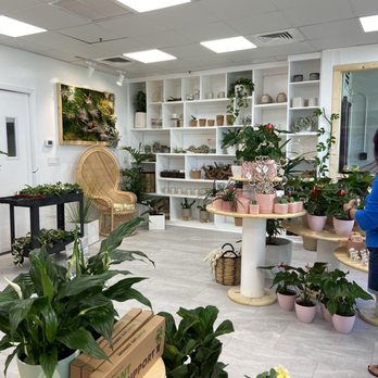 Mari’s Urban Garden - Interior - Nurseries & Gardening Near Me - Honolulu, Hawaii