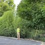 Bamboo Bob