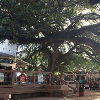 Albert Icehouse & Dancehall - Summer evening under the giant oak tree - Bars Near Me - Stonewall, Texas Albert Icehouse & Dancehall - Summer evening under the giant oak tree - Bars Near Me - Stonewall, Texas