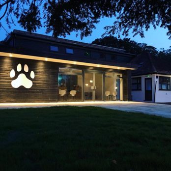 Springwell Veterinary Surgery - New premises since 2019 - Veterinarians Near Me - Tring, HRT Springwell Veterinary Surgery - New premises since 2019 - Veterinarians Near Me - Tring, HRT