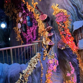 Meow Wolf - Venues & Event Spaces Near Me - Denver, Colorado