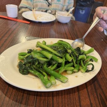 Spring House Chinese Restaurant - Gai Lan - Chinese Brocolli - Chinese Near Me - Eugene, Oregon