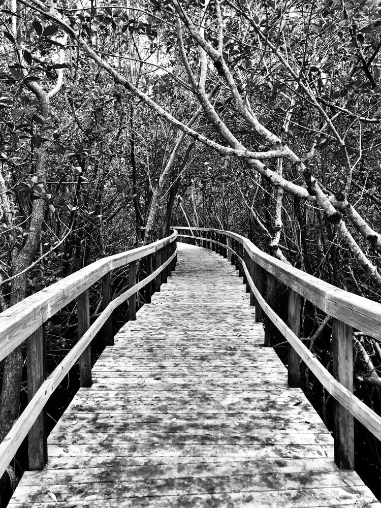 Kiplinger Nature Preserve Park Image