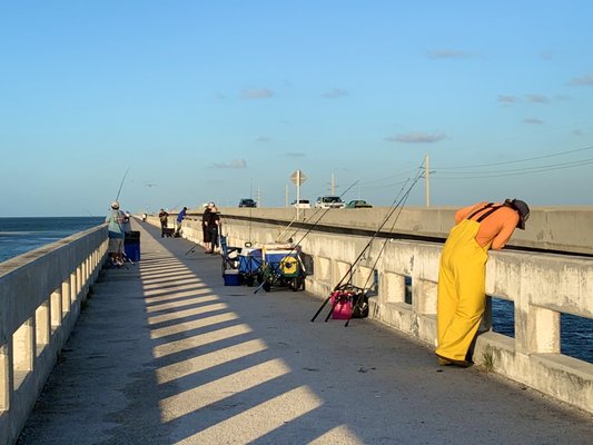Seven Mile Bridge by null