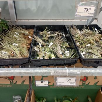 Rona - Air plants - General Contractors Near Me - Nepean, Ontario