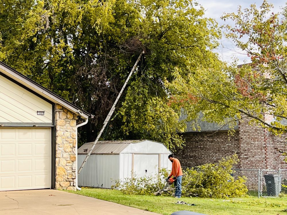 JZ Yards Outdoor Services - tree service in Tulsa, OK