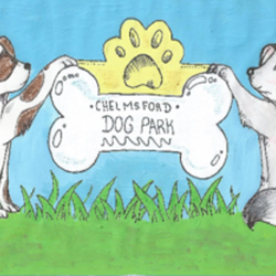 Chelmsford Dog Park