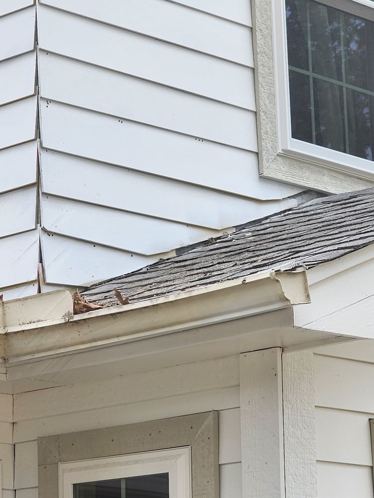 Slide of Gloria Aparicio - Handyman