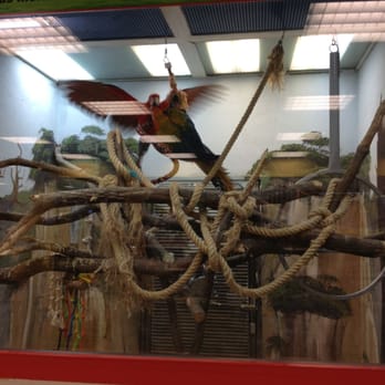 Megazoo - Pet Stores Near Me - Schönefeld, BB
