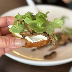 Fuzi Pasta Co - 11375 Mushroom Crostini