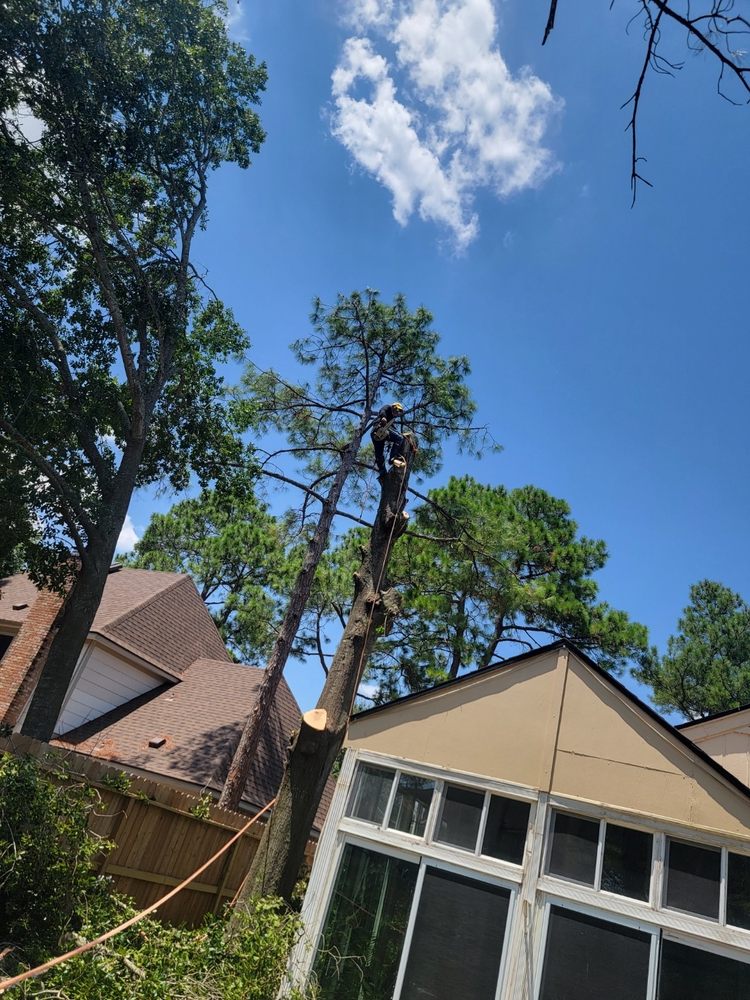 WILFRED LANDSCAPING Request a Quote 14 Photos Tomball, Texas