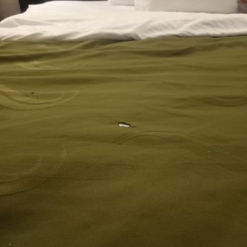 Quality Inn Elizabeth City Near University - Hotels Near Me - Elizabeth City, North Carolina Quality Inn Elizabeth City Near University - Hotels Near Me - Elizabeth City, North Carolina