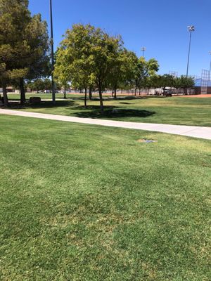 WEST FLAMINGO PARK - Updated July 2024 - 32 Photos - 6255 W Flamingo