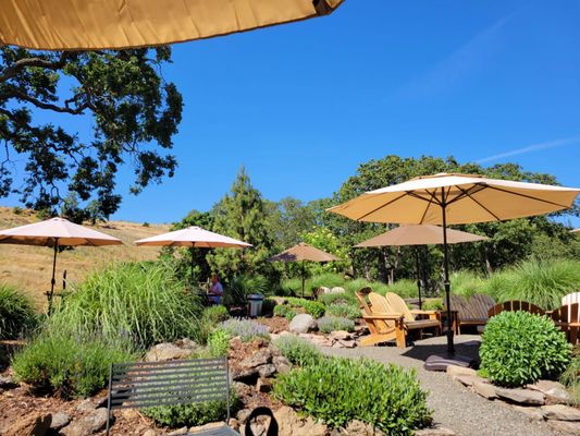 Syncline Winery by null