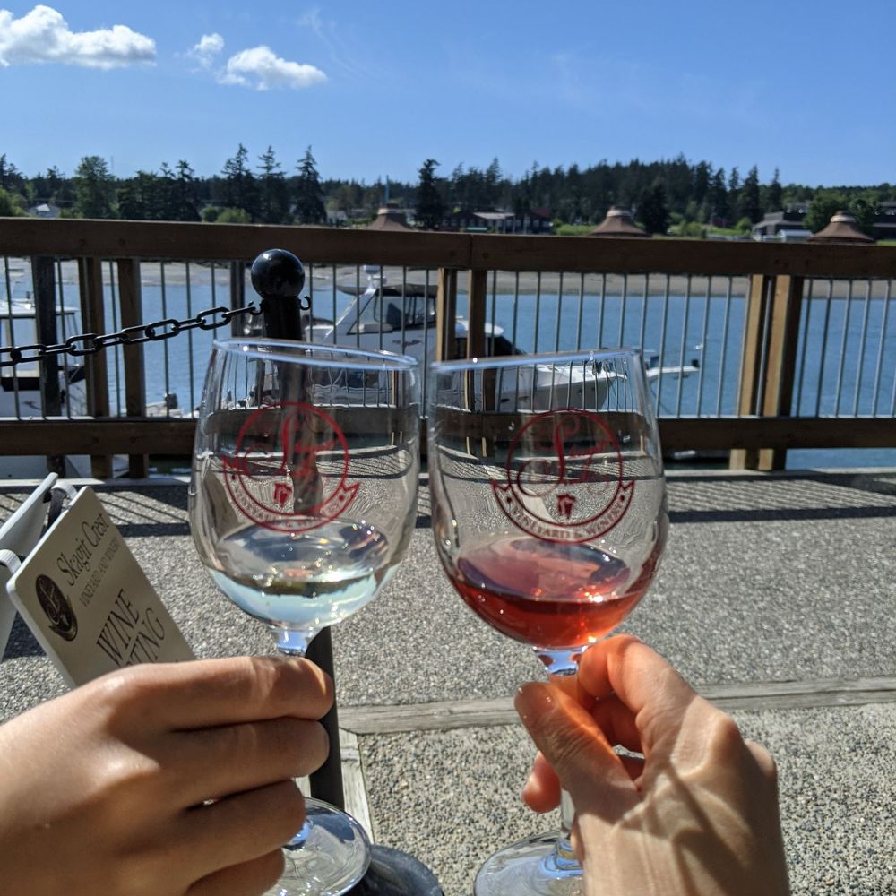 two people toasting wine glasses two people toasting wine glasses