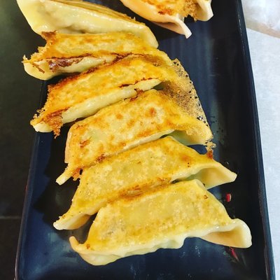Tokyo Dumpling by null