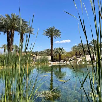 Shields Date Garden - Fruits & Veggies Near Me - Indio, California Shields Date Garden - Fruits & Veggies Near Me - Indio, California